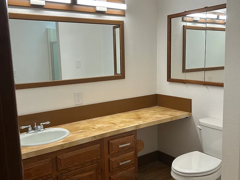 471 E Michelle Dr — Photo 28