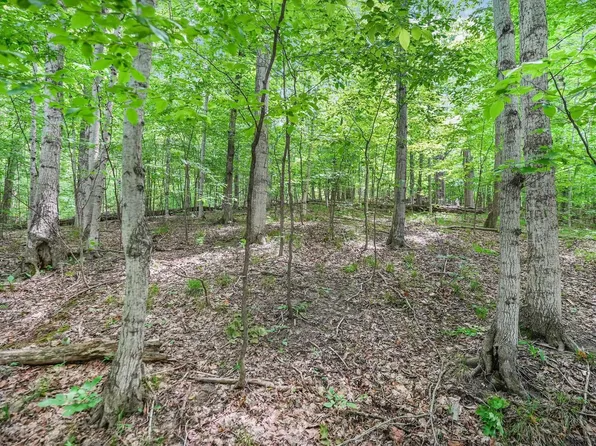 $175,000 — V l S Coleman Rd, Maple City MI