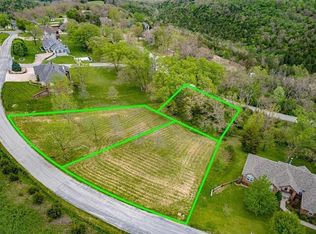 221 Jacks Hollow Rd, Walnut Shade, MO 65771