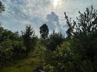 V/l E Outlaw Dr, Irons, MI 49644