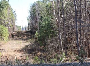 704 Centennial Rd, Rutherfordton, NC 28139