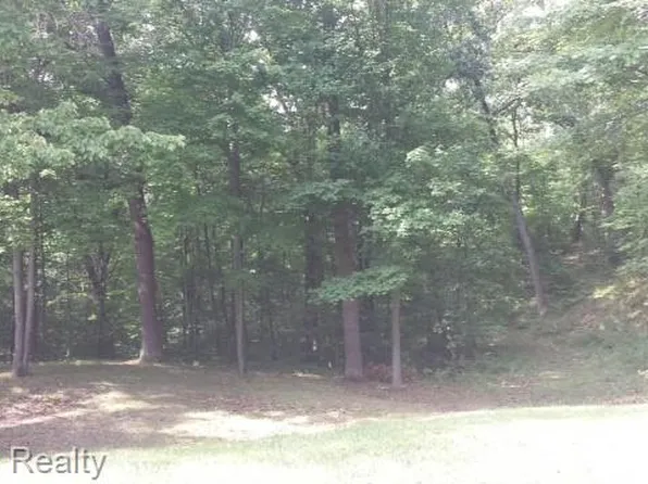 Vl Schafer Rd, Howell, MI 48843