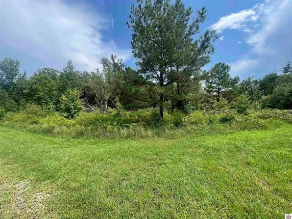 3-0 Deepwood Dr, Murray, KY 42071