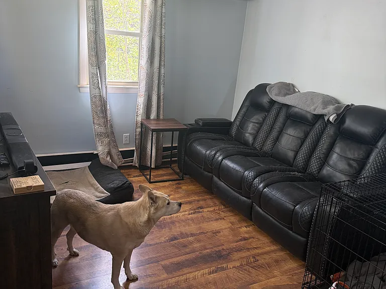 11 Heald St — Photo 9