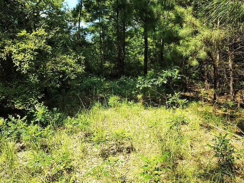 1st image of 486 Creech Johnson Rd