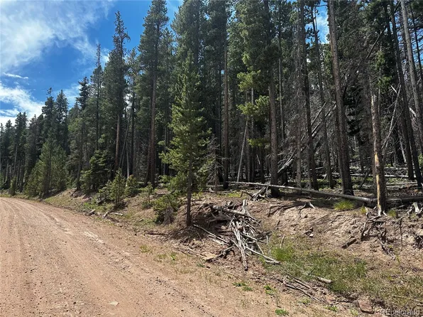 3427 Grojean Drive LOT 3427, Fort Garland, CO 81133