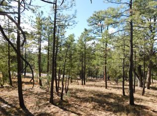 3291 Roundup Ln, Happy Jack, AZ 86024