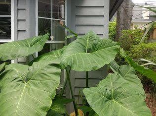 406 Morrison St, Mount Pleasant, SC 29464