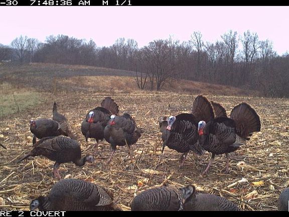 4th image of 0 Goodman Pond Rd