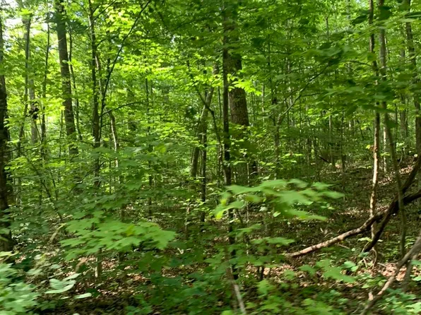 Lots 13 14 17 18 Trails End, Maynardville, TN 37807