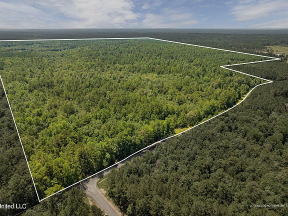 3rd image of Scruggs Rd