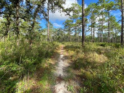 0 Dempsey Rd, Brooksville, FL, 34601