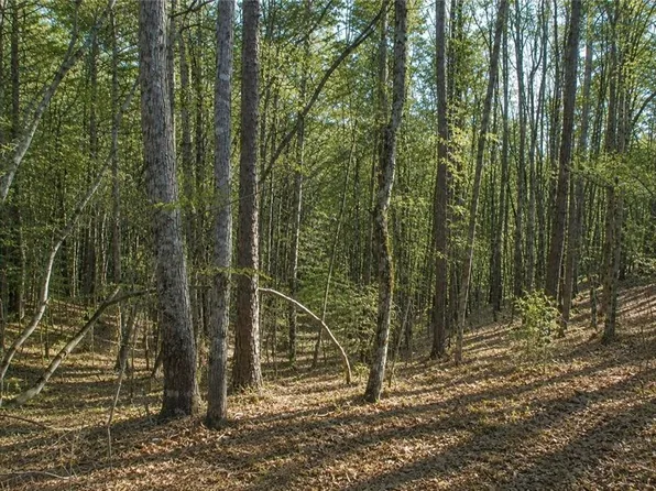 24 Waldrip Rd, Dawsonville, GA 30534