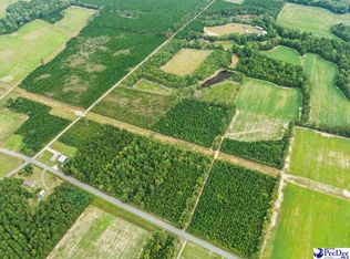 Evns Farm Rd Tract 2, Pamplico, SC 29583