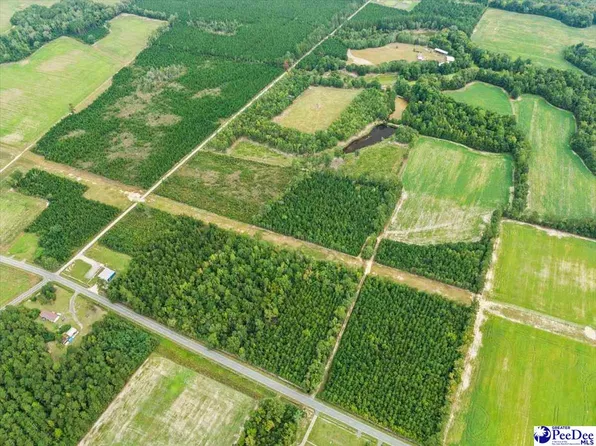 Evns Farm Rd Tract 2, Pamplico, SC 29583