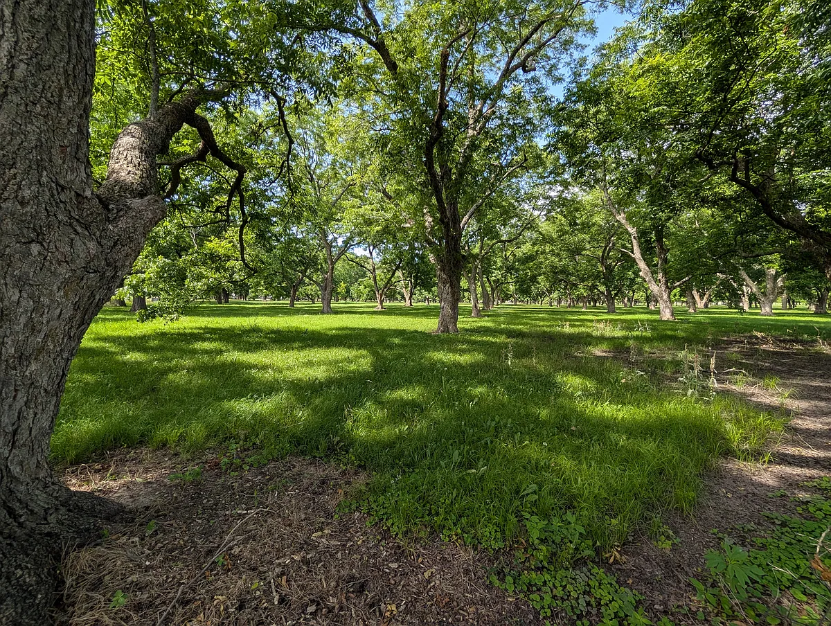 Peaceful Pecan Grove - 16008 E Highway 64