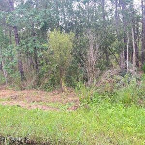 No Tennessee St Lot 9, Bay Saint Louis, MS, 39520