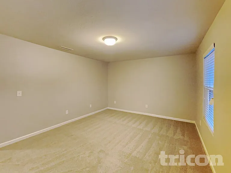 4217 Piedmont Farms Way — Photo 14