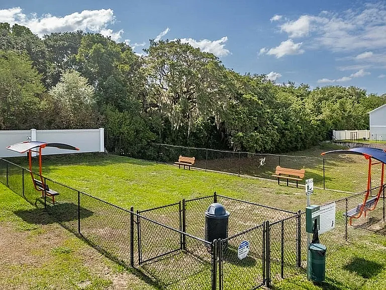 Dog Park