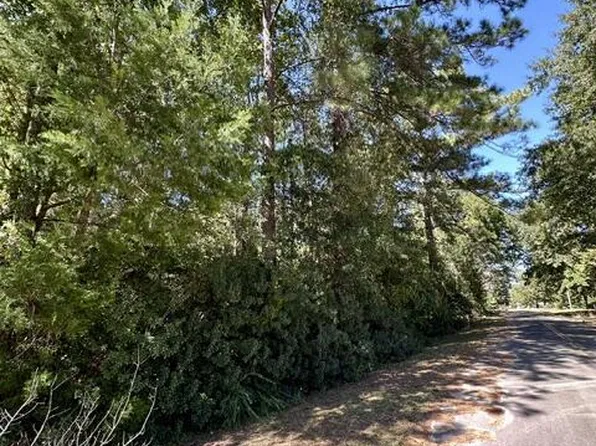 LOT 1&3 Pinecrest Dr, Wewahitchka, FL 32465