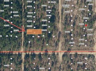 LOT 36 Paxon St LOT 36, Interlachen, FL 32148