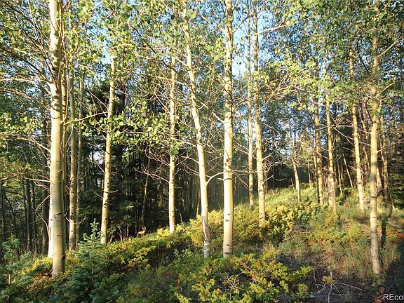 3rd image of LOT 6588 Forbes Road