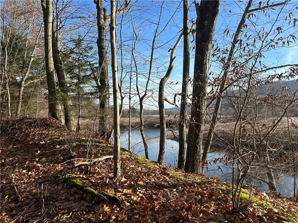 33830 State Highway 10, Hamden, NY 13782