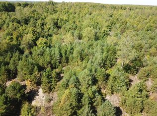 Viaduct Rd, Copemish, MI 49625