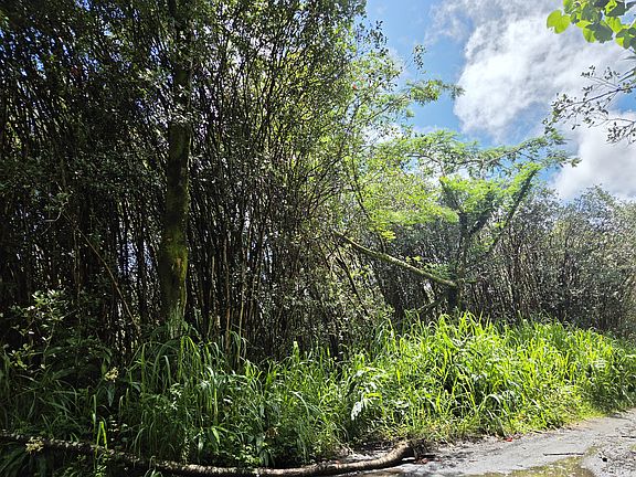 4th image of Road 3 Hopue Lot 3230