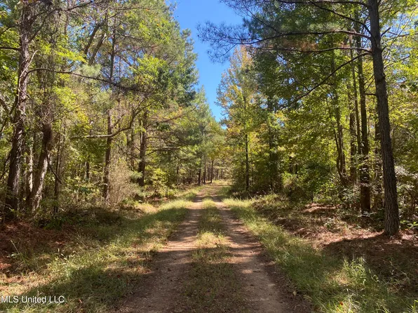 Off Of Hwy #404, Eupora, MS 39744