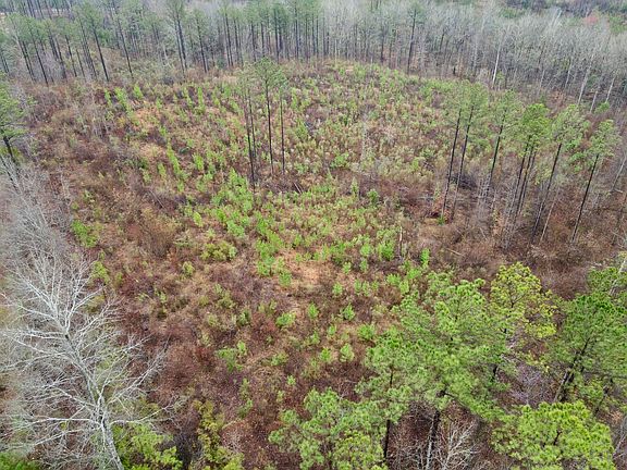 5th image of 0 Marengo County Rd #15