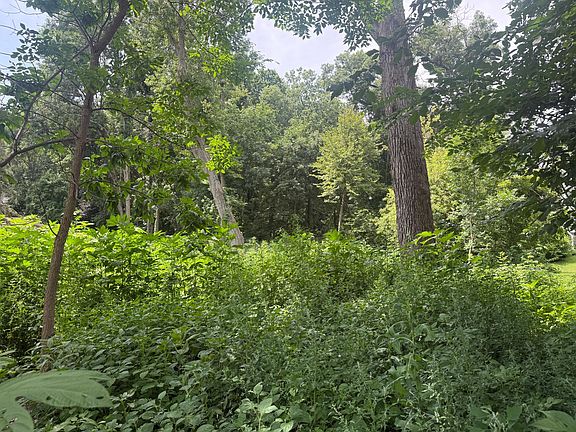 5th image of 25504 Willow Ln