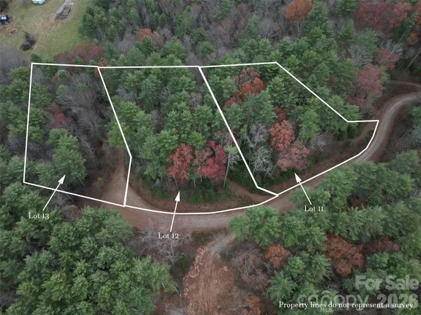 11 Wildlife Dr #11, Clyde, NC 28721