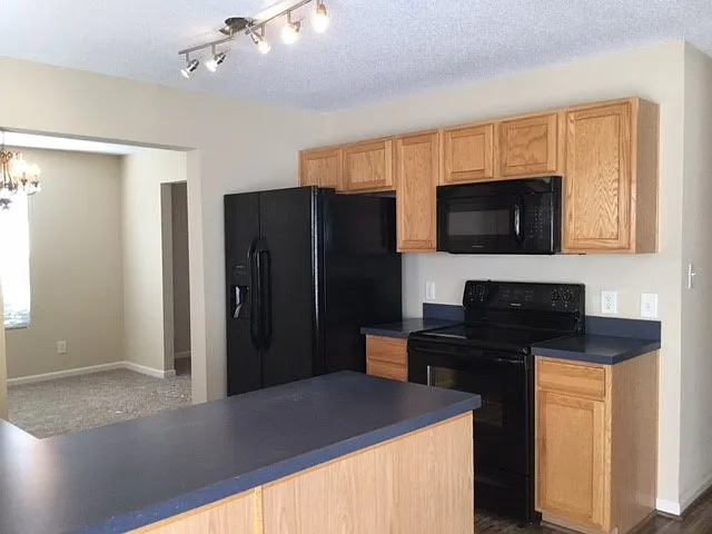 1228 Hampton Park Dr — Photo 3