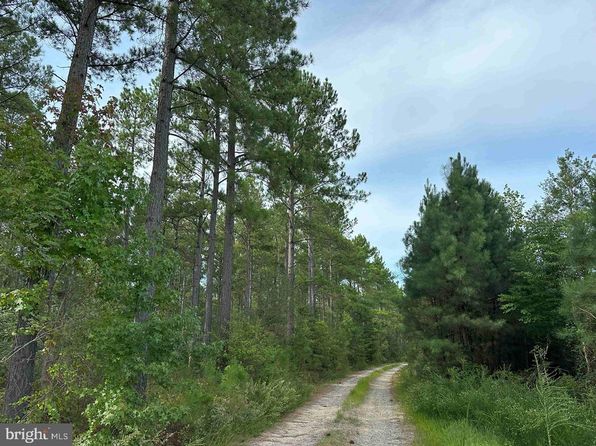 Hustle Rd, Hustle, VA 22476
