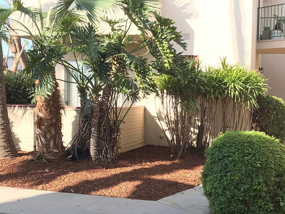2nd image of 3395 Rexford St #3395
