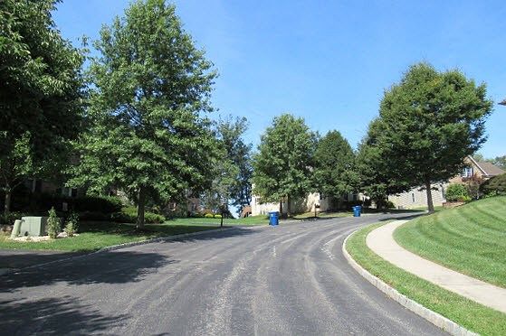 4th image of 232 River Crest Dr