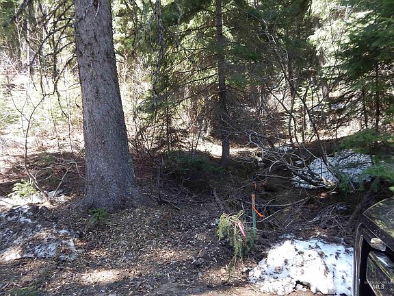 4th image of 1601 Bear Trail Loop