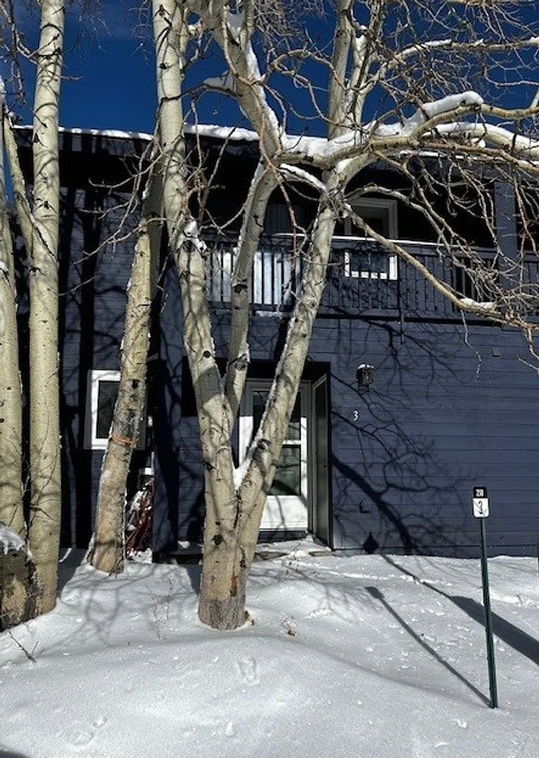 Winter Seasonal Rental- Lakeside Townhouses #3 — Photo 1