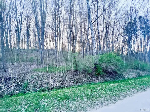 17 Wood Ridge Ln, Fulton, NY 13069