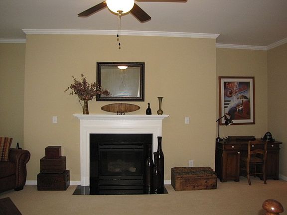 Fireplace in Living Room