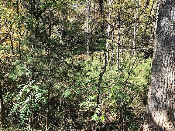 4th image of Lots 17 Town Mountain Dr