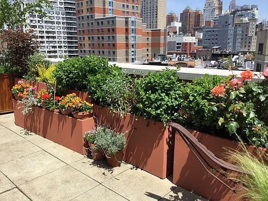 Rented by Stribling | media 23