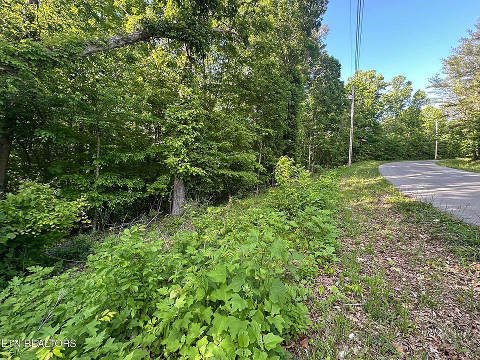 1st image of Pine Hollow Rd