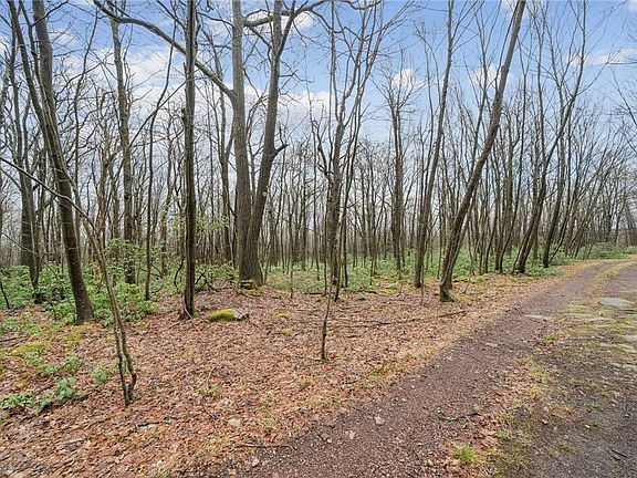 5th image of 586 Zermatt Rd