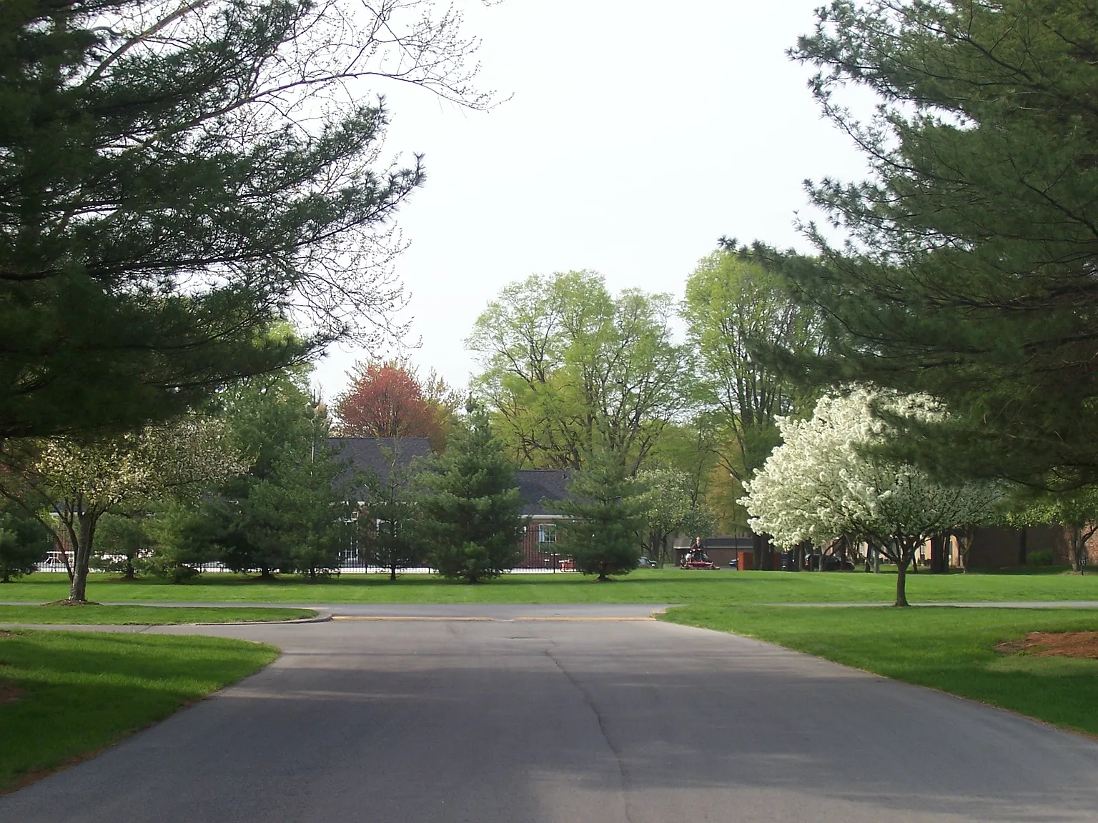 Fallwood — Photo 1