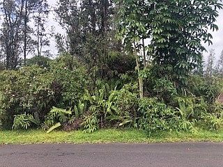 2nd image of Anthurium Dr Lot 46