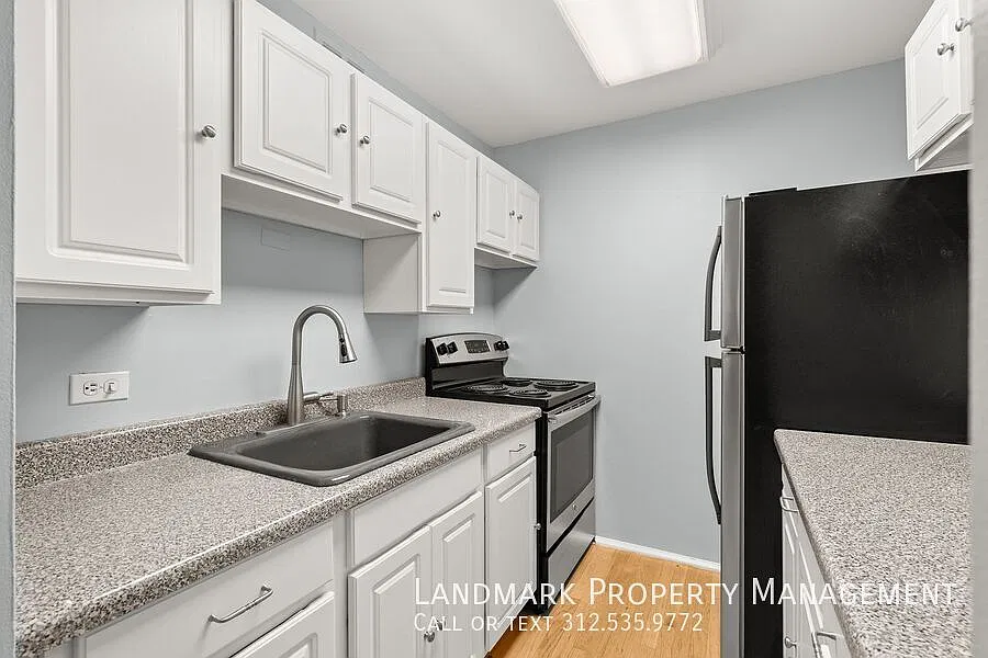100 E Walton St Unit 17G — Photo 3