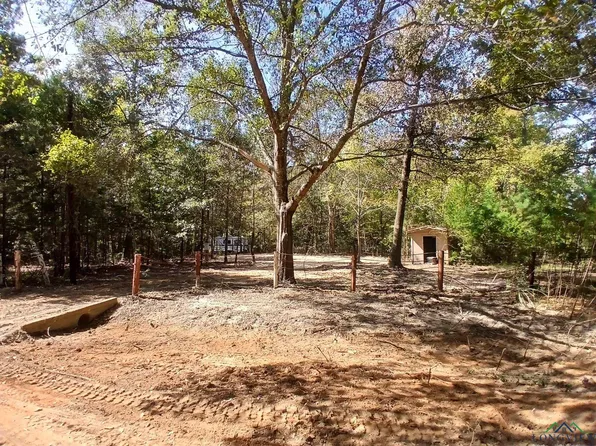 450 Fir Dr, Harleton, TX 75651