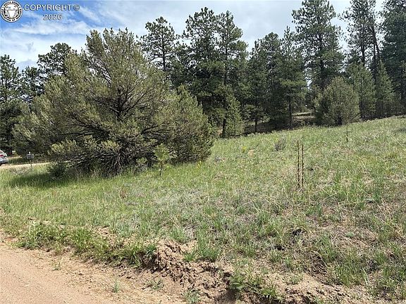 4th image of 891 Driftwood Rd